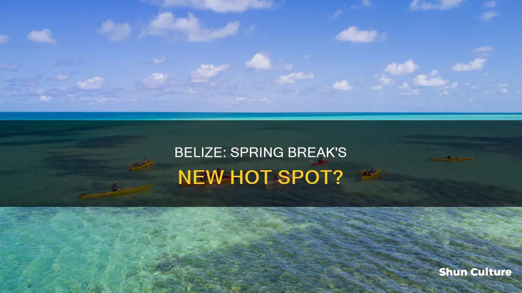 is belize a spring break destination