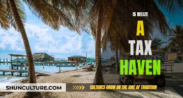 Belize: A Tropical Tax Haven?