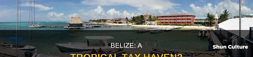 is belize a tax haven