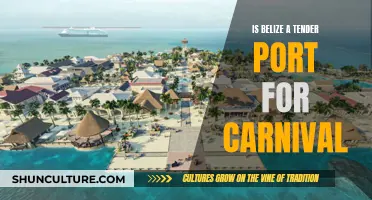 Belize Tender Port: Carnival's Guide