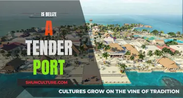 Cruising to Belize: Tender Port Exploration