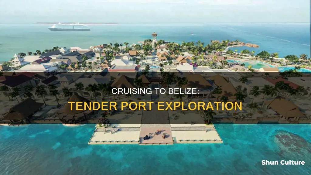 is belize a tender port