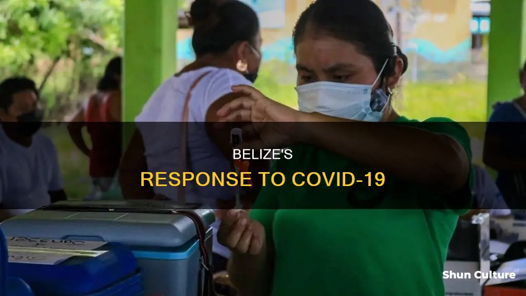 is belize affected by coronavirus