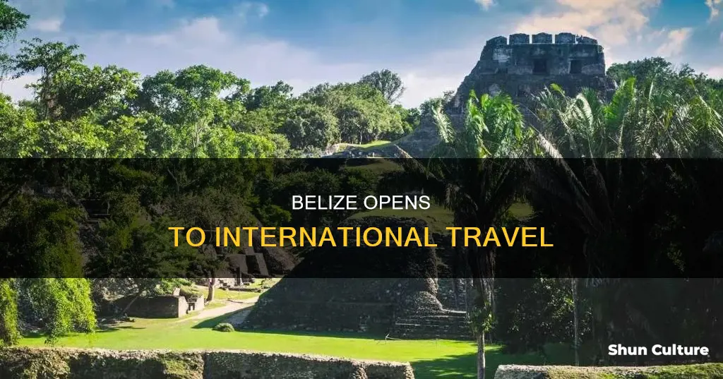 is belize allowing international travel