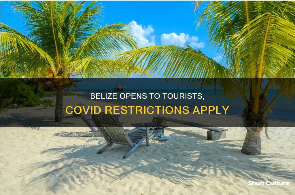 is belize allowing tourists covid