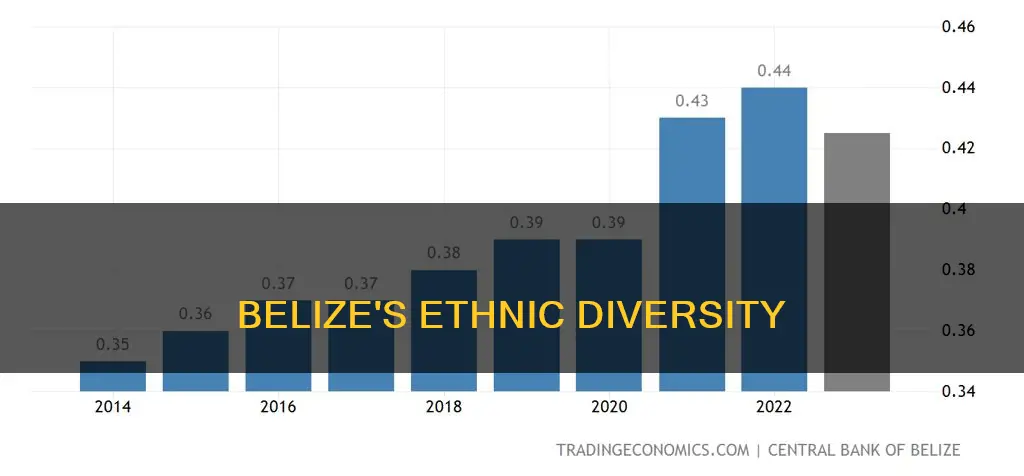 is belize an ethnicity