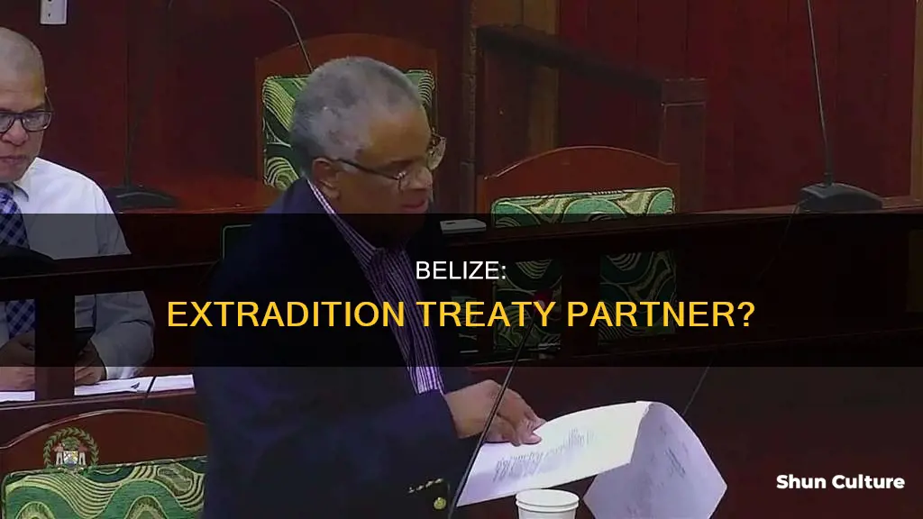 is belize an extradition country