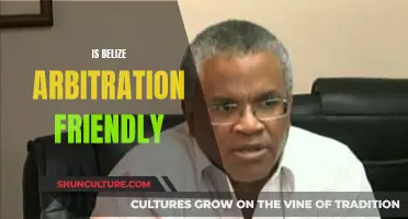 Belize: Arbitration-Friendly or Not?