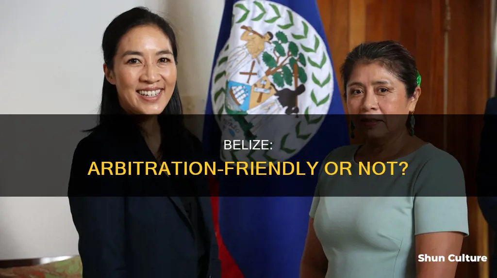 is belize arbitration friendly