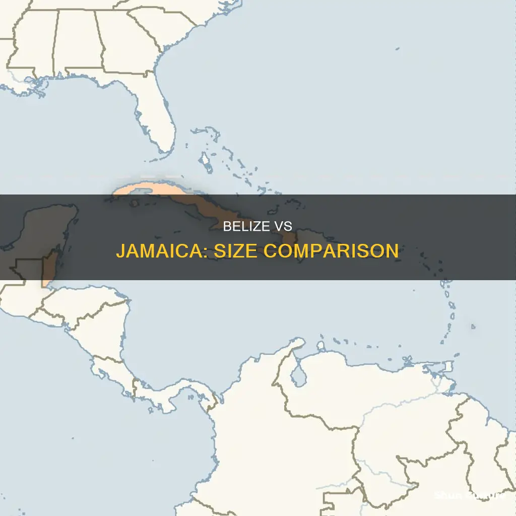 is belize bigger than jamaica