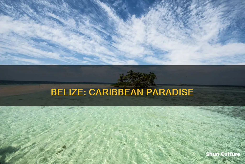 is belize carribean