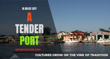 Belize City: Tender Port or Not?