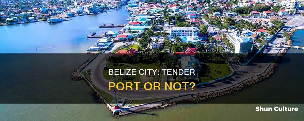 is belize city a tender port