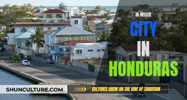 Belize City: A Unique Urban Center in the Heart of Belize, Not Honduras