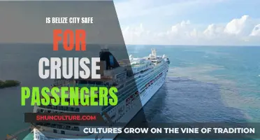 Belize City: A Safe Haven for Cruise Passengers?