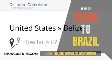 Belize and Brazil: A Tale of Two Countries, Thousands of Miles Apart