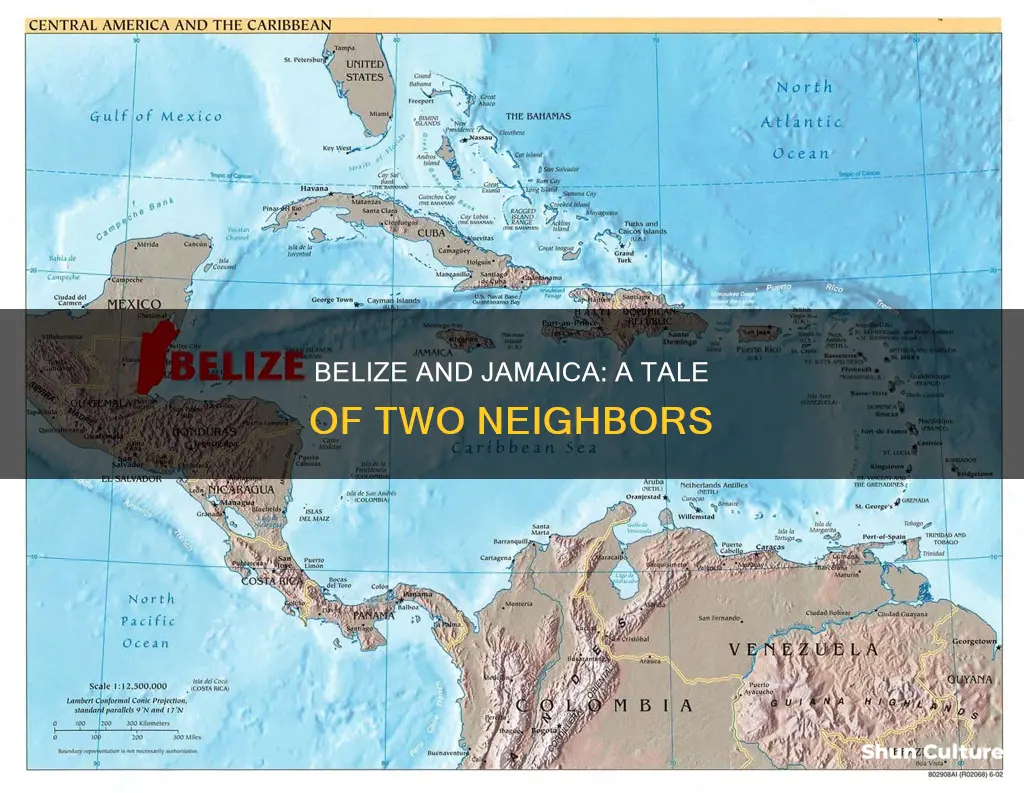 is belize close to jamaica