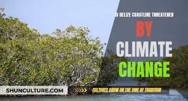 Belize's Battle: Climate Change and the Coastline