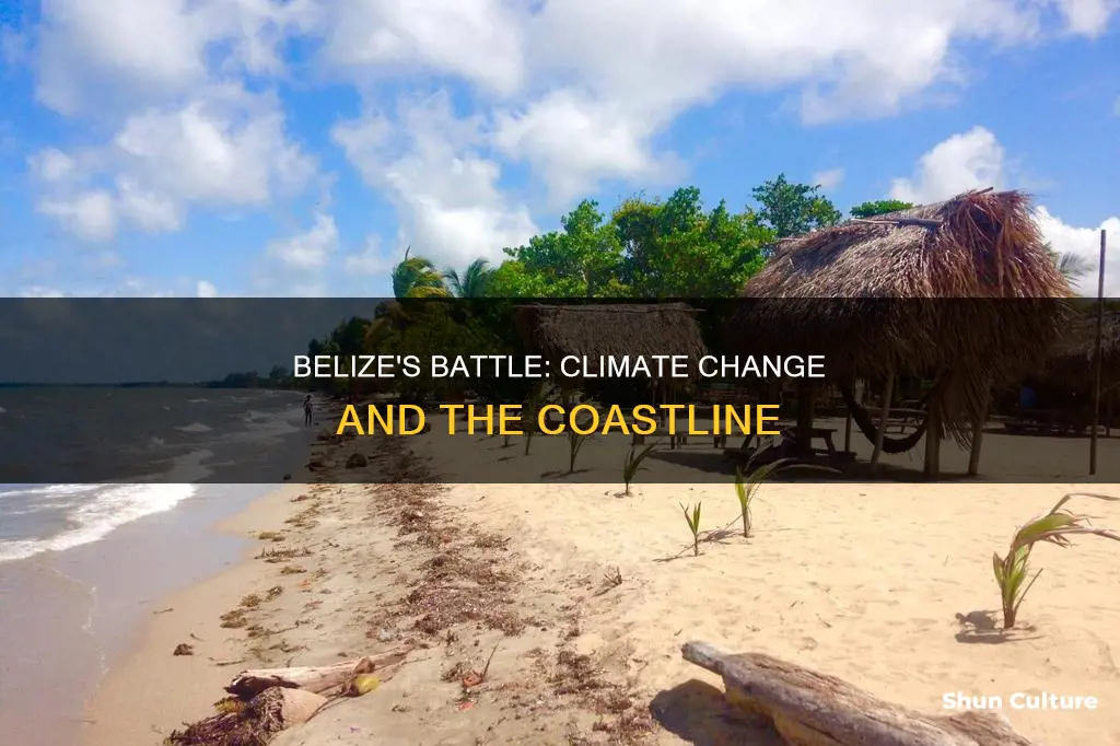 is belize coastline threatened by climate change