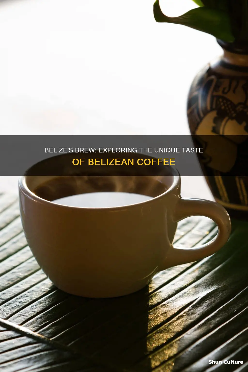 is belize coffee good