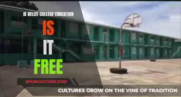 Belize's Surprising Stance on Free College Education