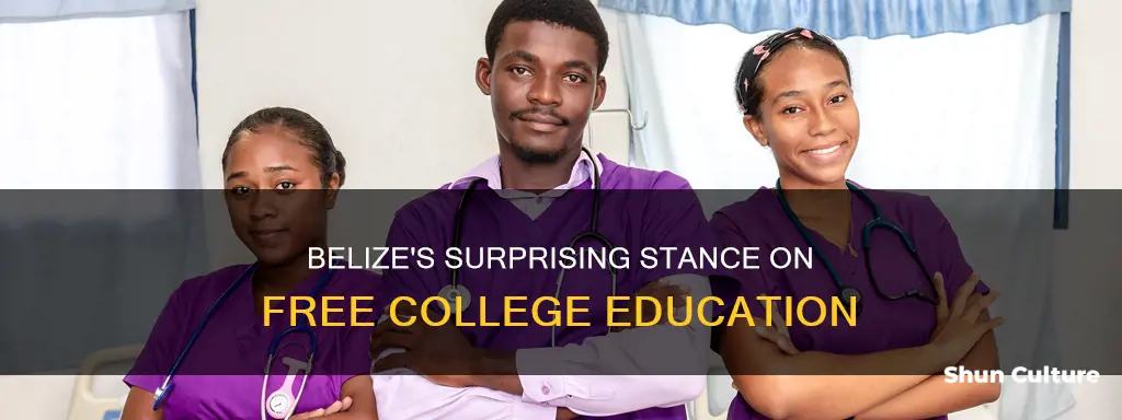 is belize college education is it free