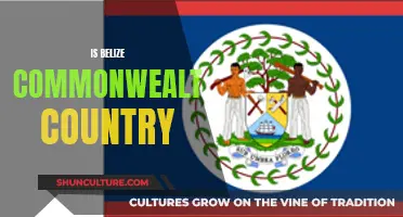 Belize's Place in the Commonwealth: A Unique Perspective