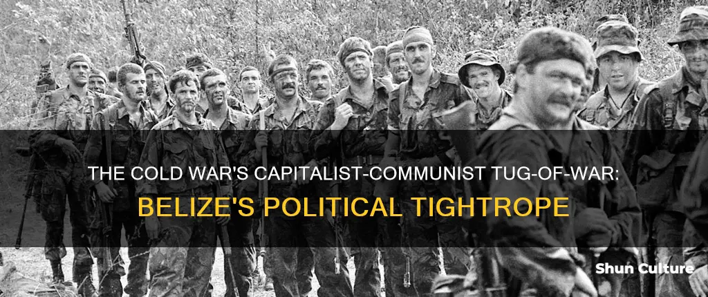 is belize communist and capitalist parties during the cold war