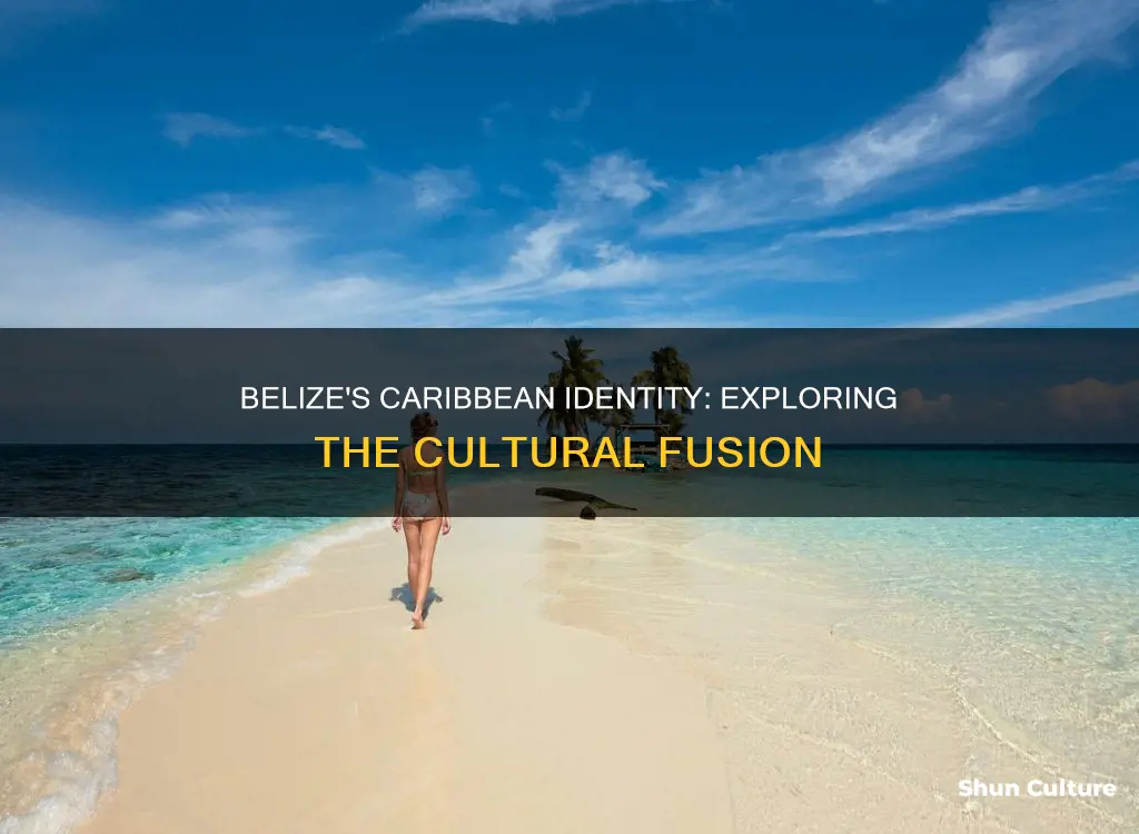 is belize considered caribbean