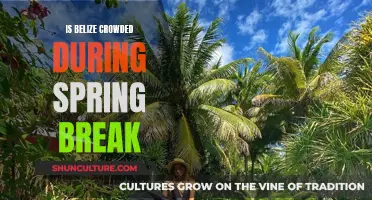 Belize's Spring Break Buzz: Navigating the Crowds