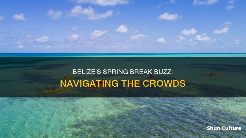 is belize crowded during spring break