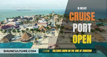 Belize Cruise Port: Open for Business or Closed Doors?