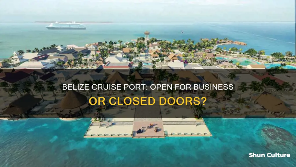 is belize cruise port open