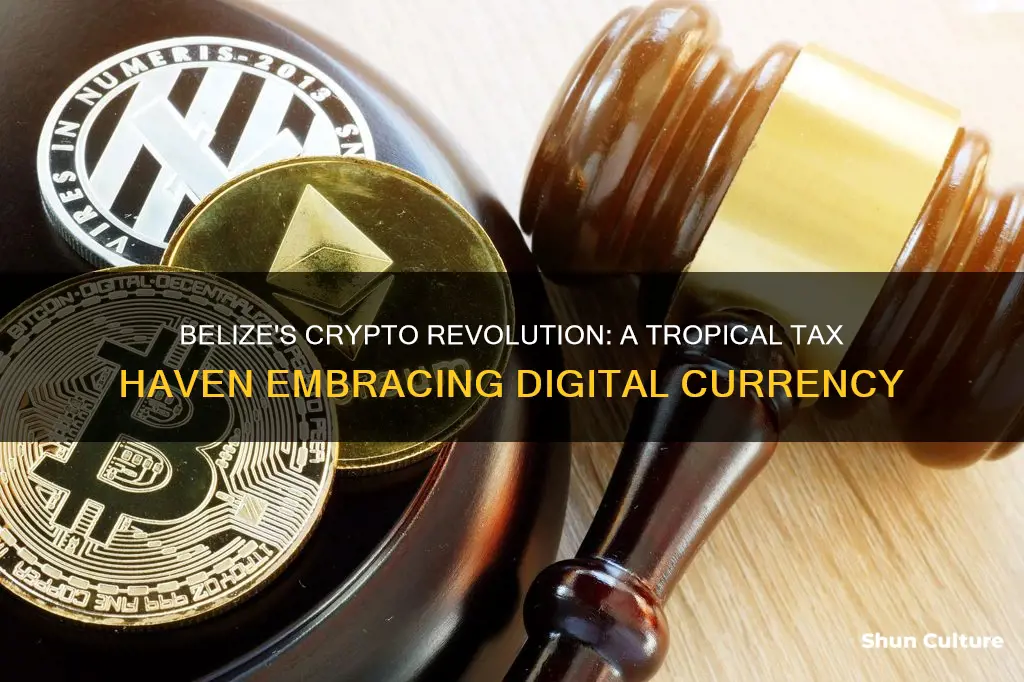 is belize crypto friendly