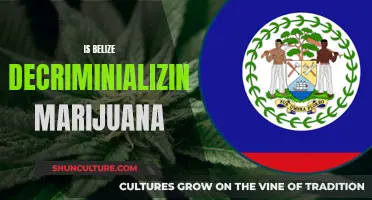 Belize's Budding Marijuana Reform