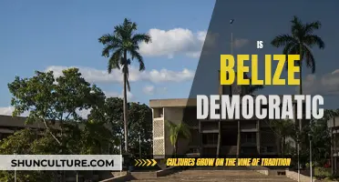 Belize's Democratic Paradox