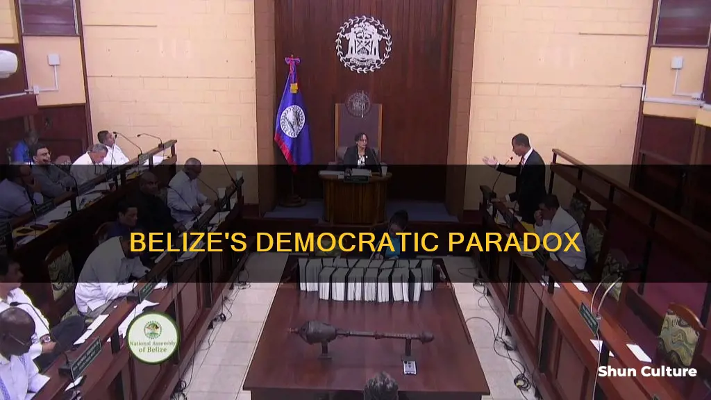 is belize democratic