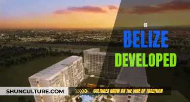 The Development Divide: Examining Belize's Progress and Challenges