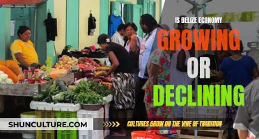 Belize's Economic Future: Growth or Decline?