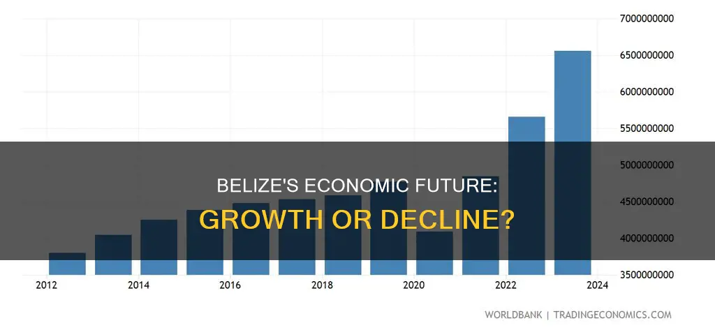 is belize economy growing or declining