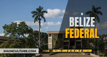 The Governance Structure of Belize: A Federal or Unitary System?