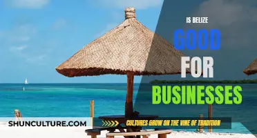 Belize: A Business Haven in the Caribbean