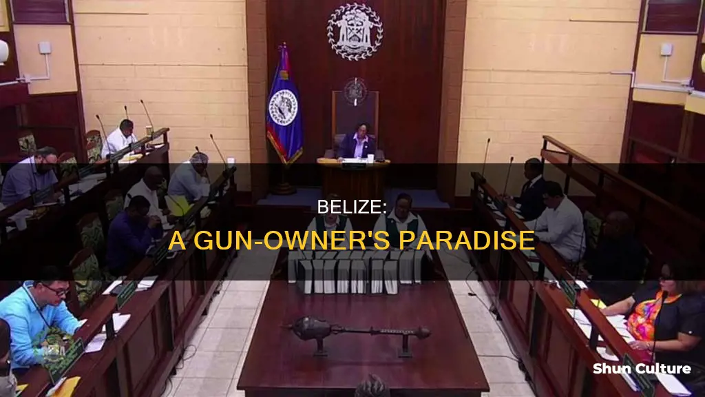 is belize gun friendly