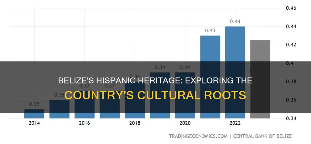 is belize hispanic