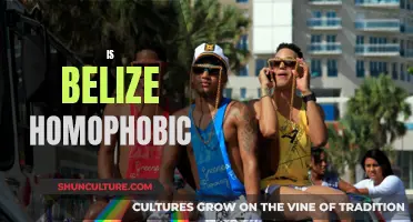 Belize's Battle Against Homophobia: A Country in Transition