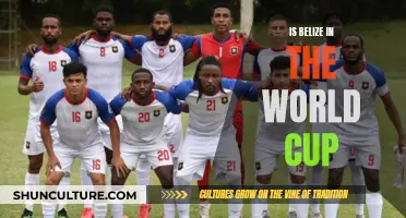 Belize's World Cup Dreams: A Look at the Country's Footballing Ambitions