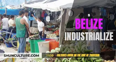 The Industrial Evolution of Belize: A Developing Nation's Journey