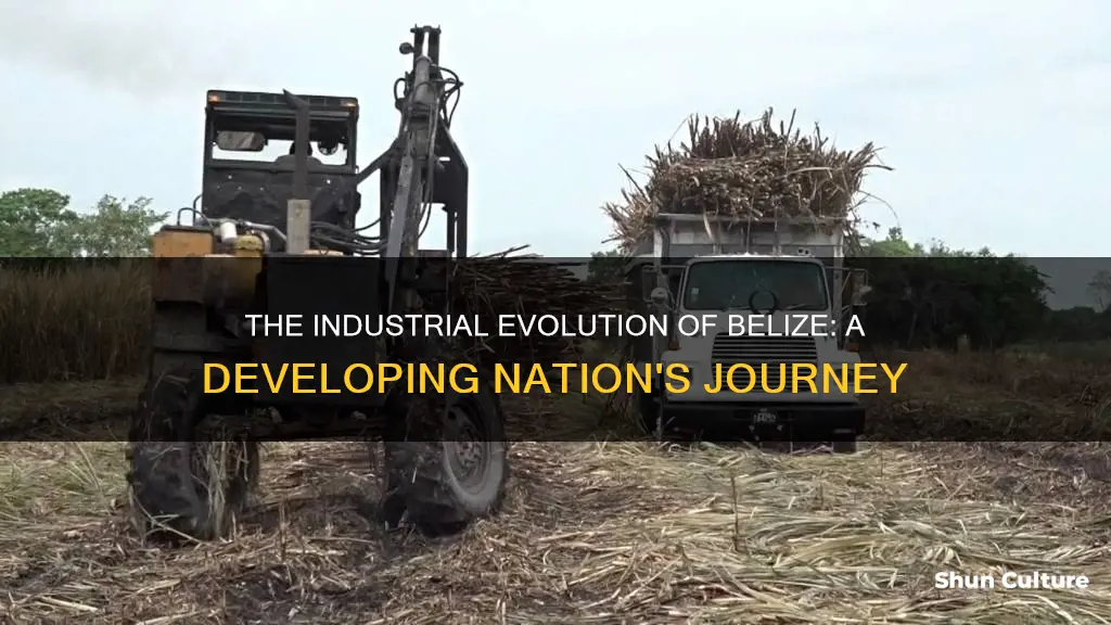 is belize industrialized