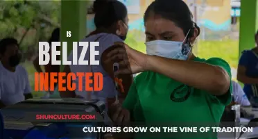 Belize's Battle: Navigating the Complexities of Infectious Diseases