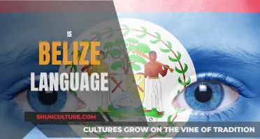 The Language of Belize: A Melting Pot of Culture and History